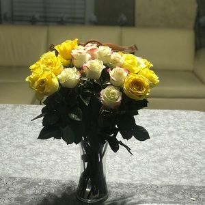 Meet your Posher, Natasha